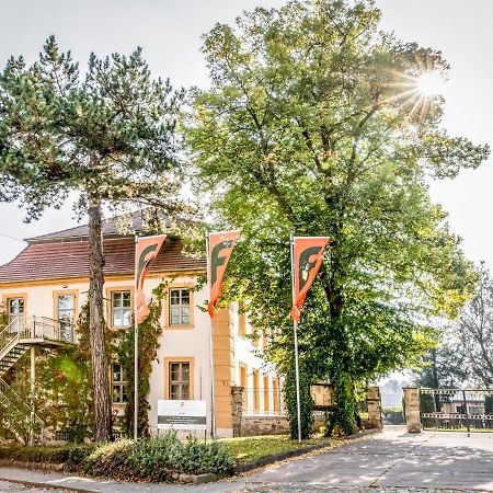 Stadtschloss Hecklingen*** Hecklingen  Luaran gambar